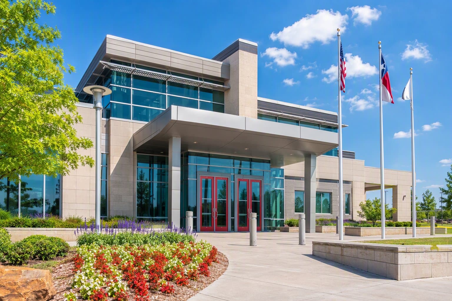Frisco public health - illustration, Jake Team LLC